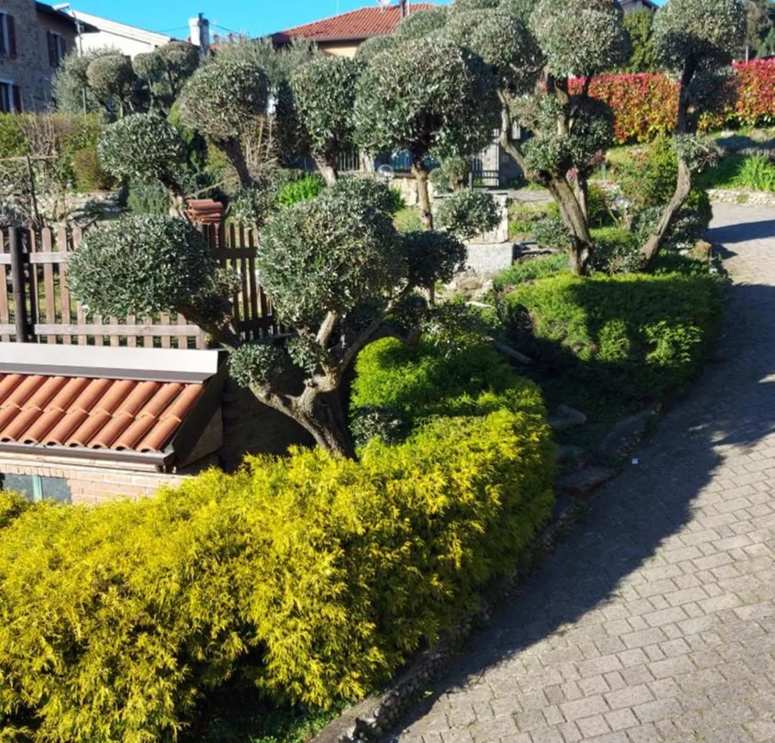 Al Vecchio Lavatoio Hotel Colle Brianza Guest house