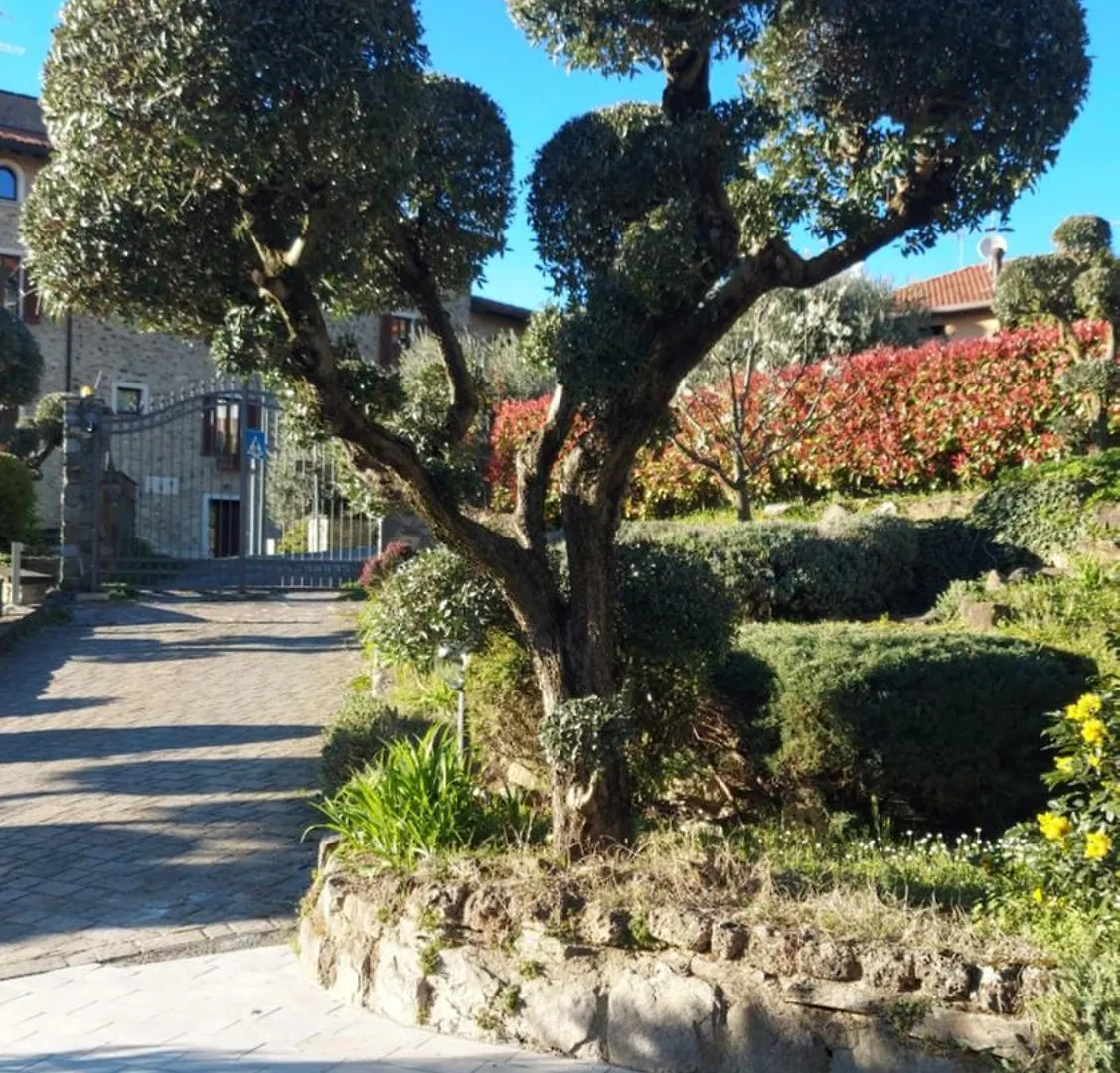 Al Vecchio Lavatoio Hotel Colle Brianza