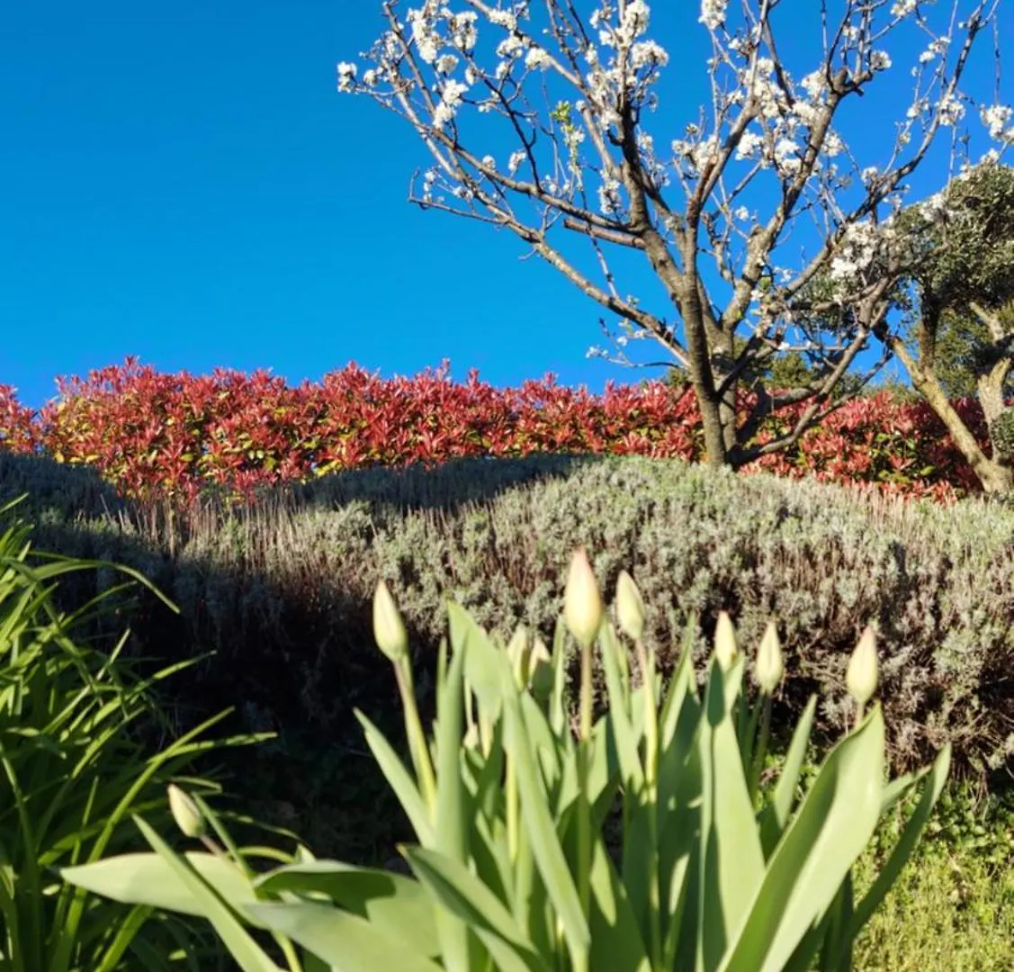 Guest house Al Vecchio Lavatoio Hotel Colle Brianza